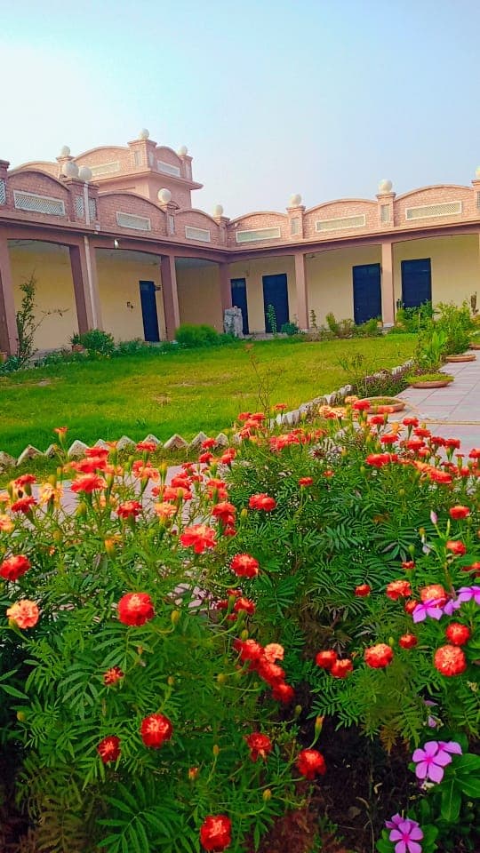 College Building